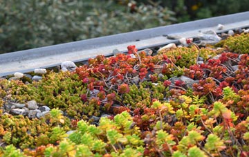 the cost of Selham green roof installation
