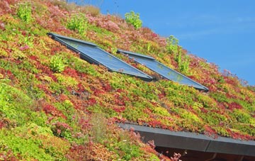Selham living roof systems