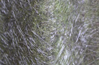 Selham fibreglass roof work